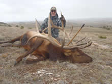 2013 Elk
