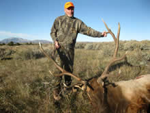 2013 Elk