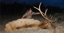 2013 Elk