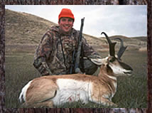 Click here to enlarge this photo.