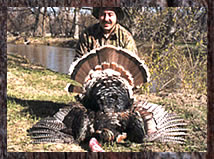 Click here to enlarge this photo.