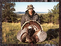 Click here to enlarge this photo.