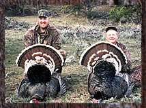 Click here to enlarge this photo.