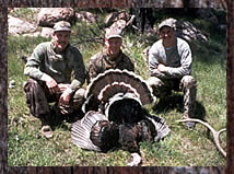 Click here to enlarge this photo.