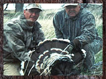 Click here to enlarge this photo.