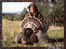 Click here to enlarge this photo.