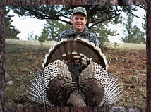 Click here to enlarge this photo.